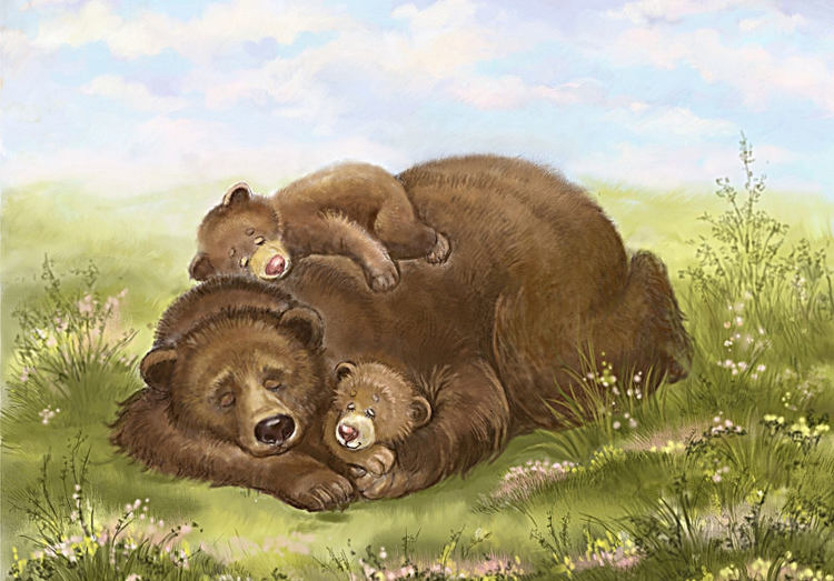 Медведь клипарт