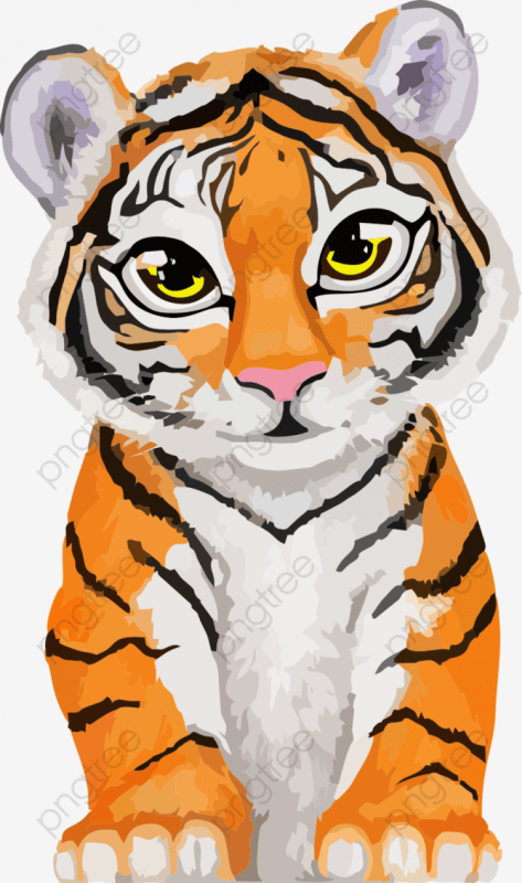 Рисуем тигра в детский сад