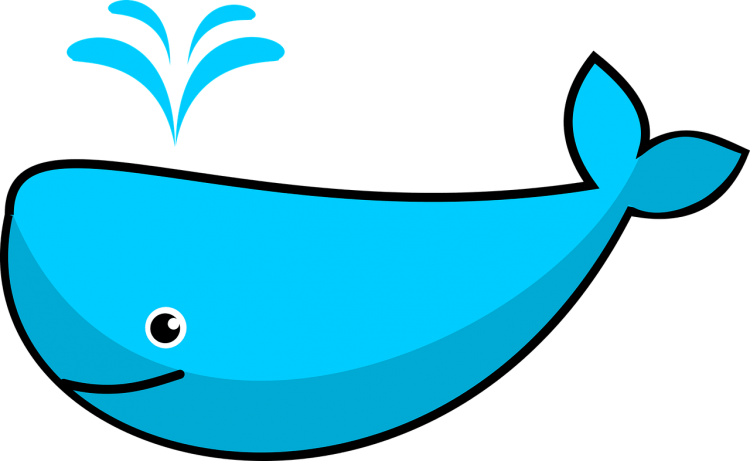Киты мультяшные