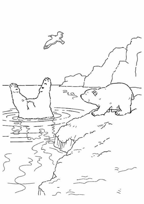 Арктика раскраска