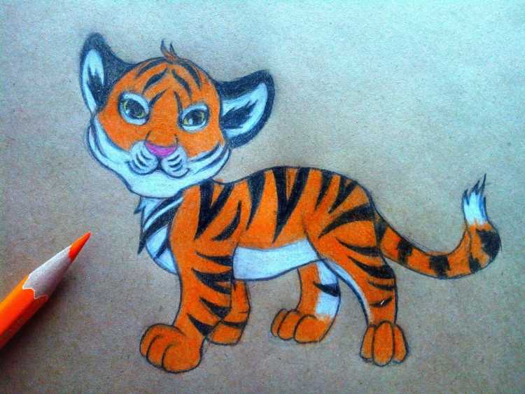 Тигренок на прозрачном фоне