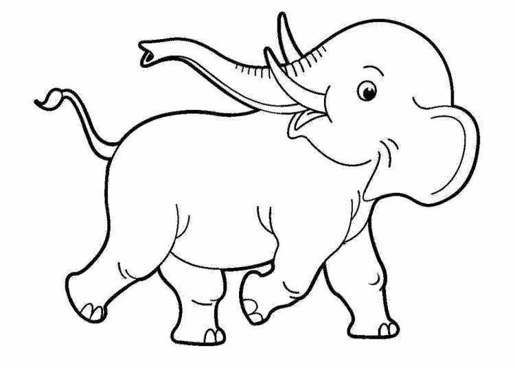Слон раскраска для детей