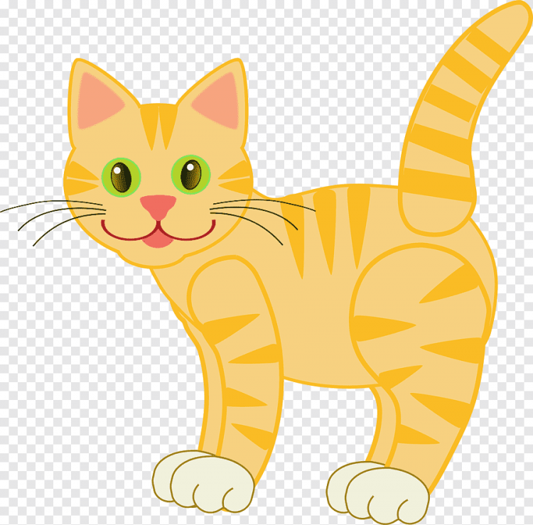 Кот для детей