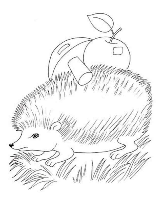 С наклейками Ежик