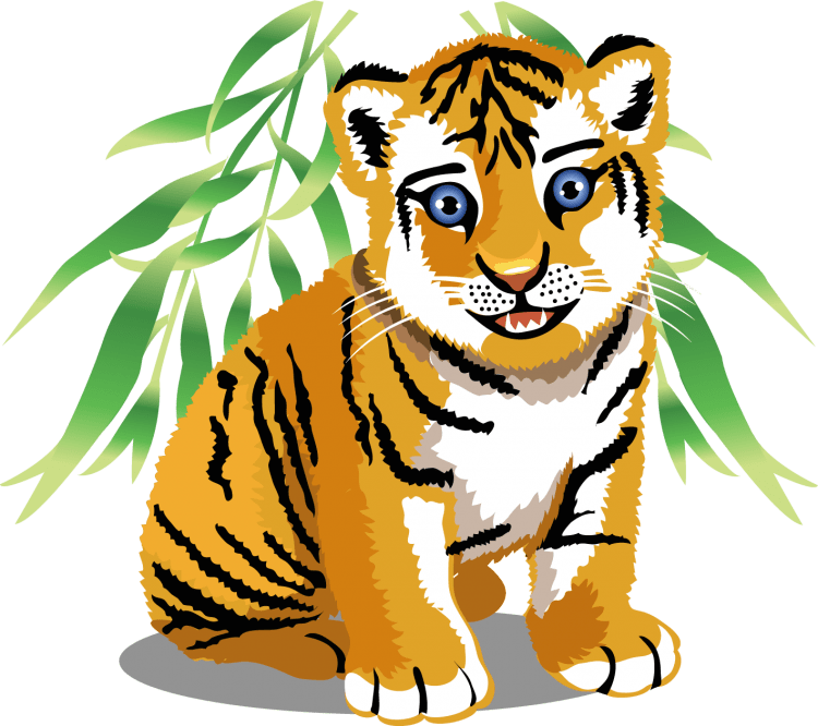 Тигр рисунок