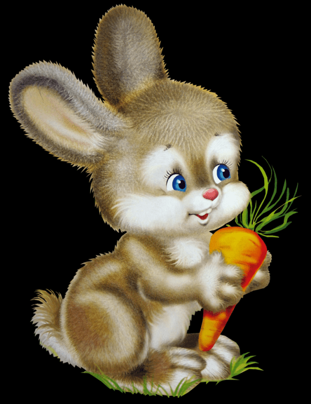 Зайка раскраска для малышей