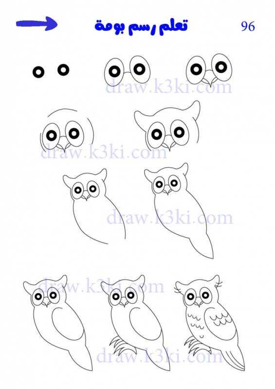 Поэтапное рисование Совы