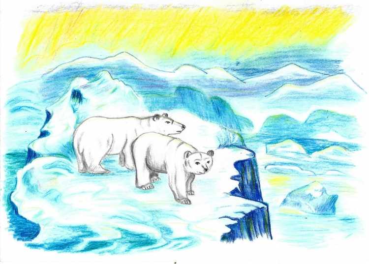 Арктика рисунки детей
