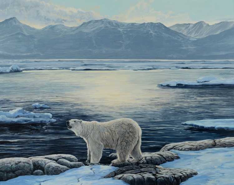 Пейзаж с белыми медведями