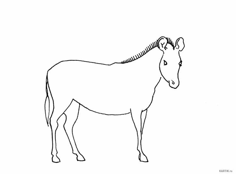 Рисунки животных для срисовки