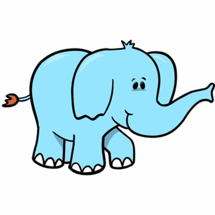 Карточка слон