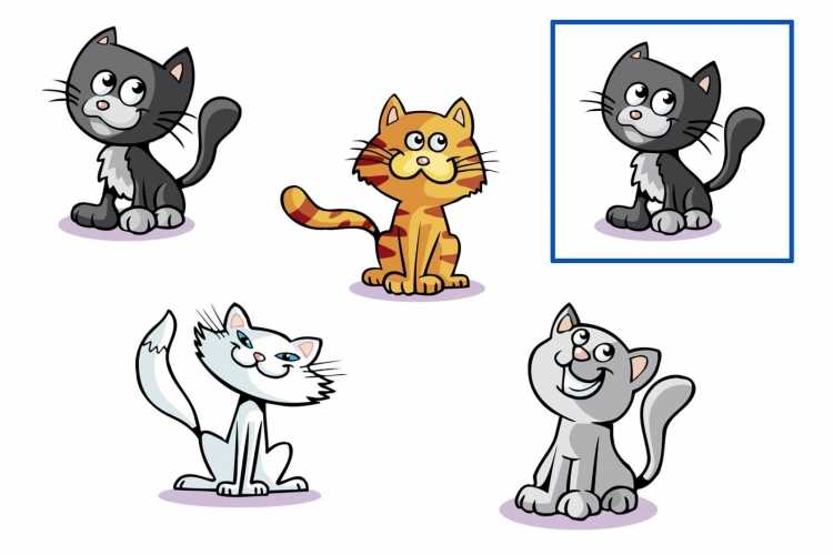 Найди одинаковых кошек