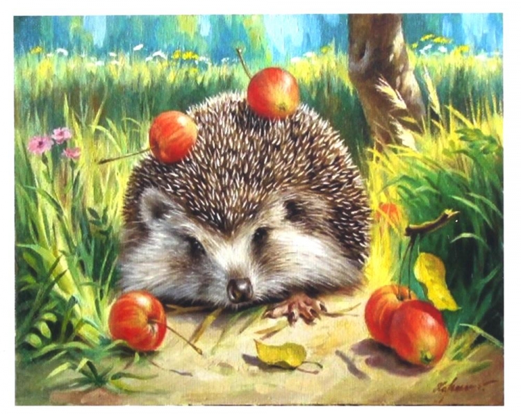 Ежик на прозрачном фоне