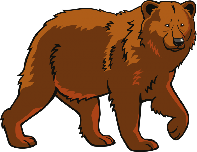 Медведь рисунок