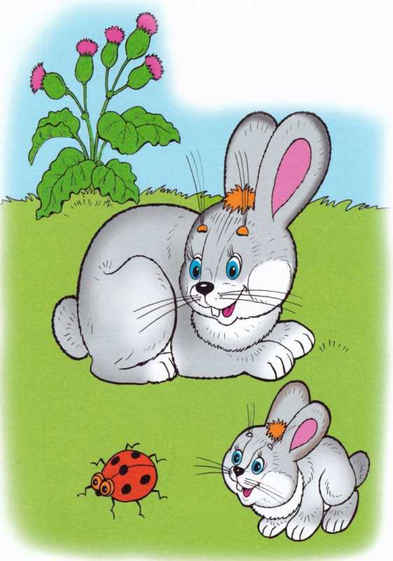 Заяц раскраска