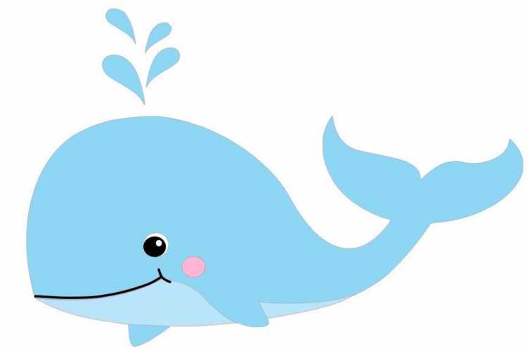 Кит для дошкольников