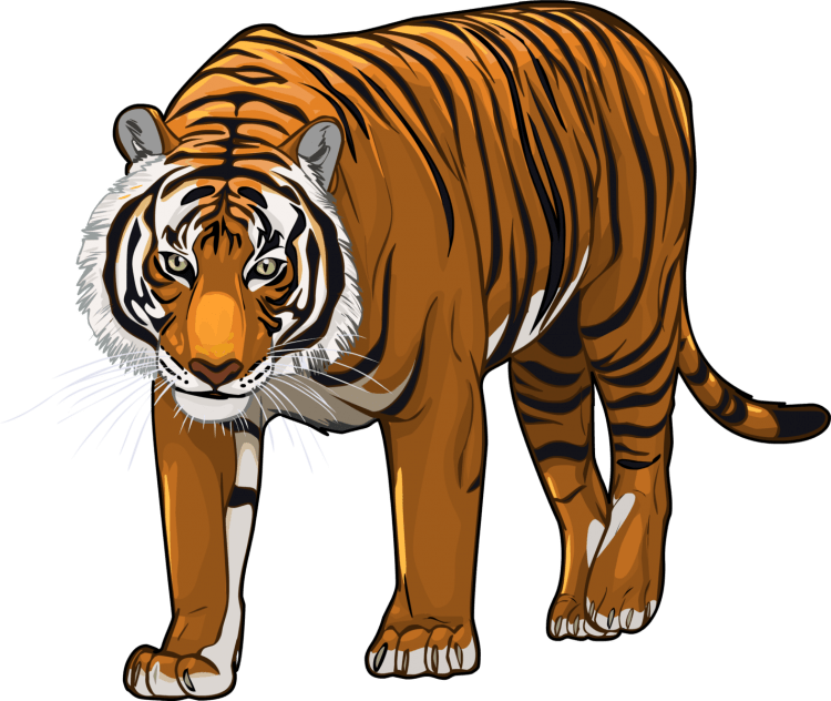 Тигр мультяшный