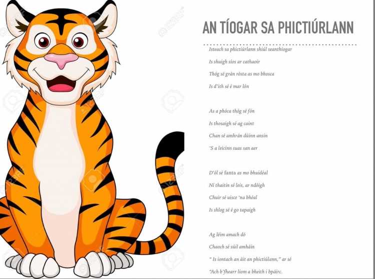 Тигр. Раскраска