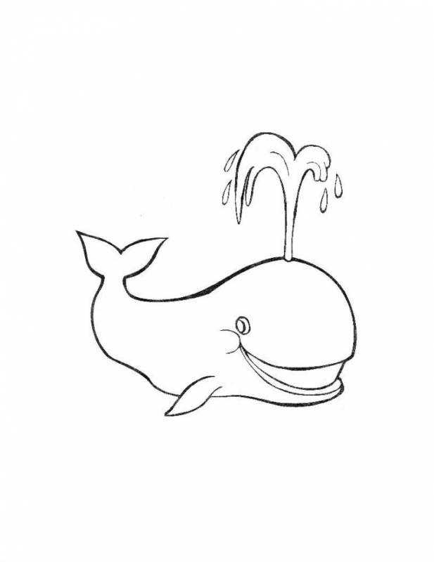 Кит картинка раскраска