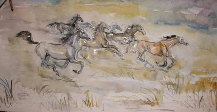 Степь Графика