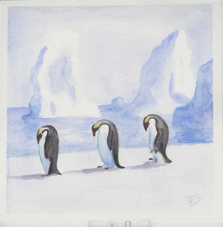 Антарктида рисунок