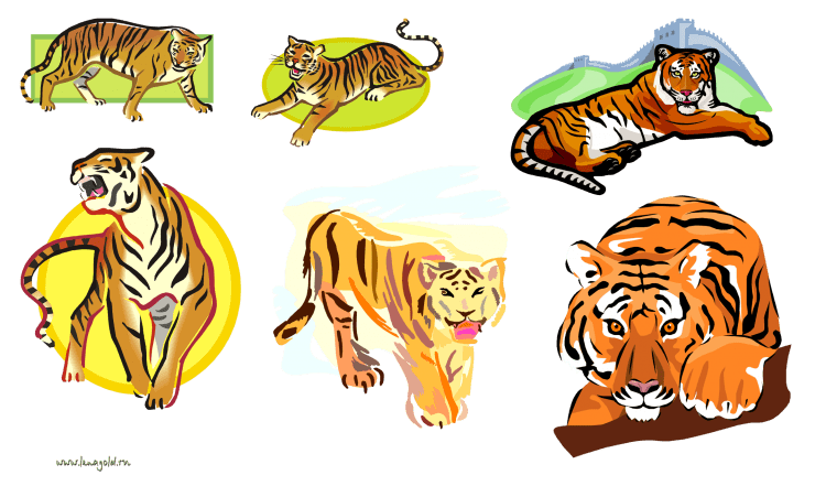 Тигренок раскраска для малышей