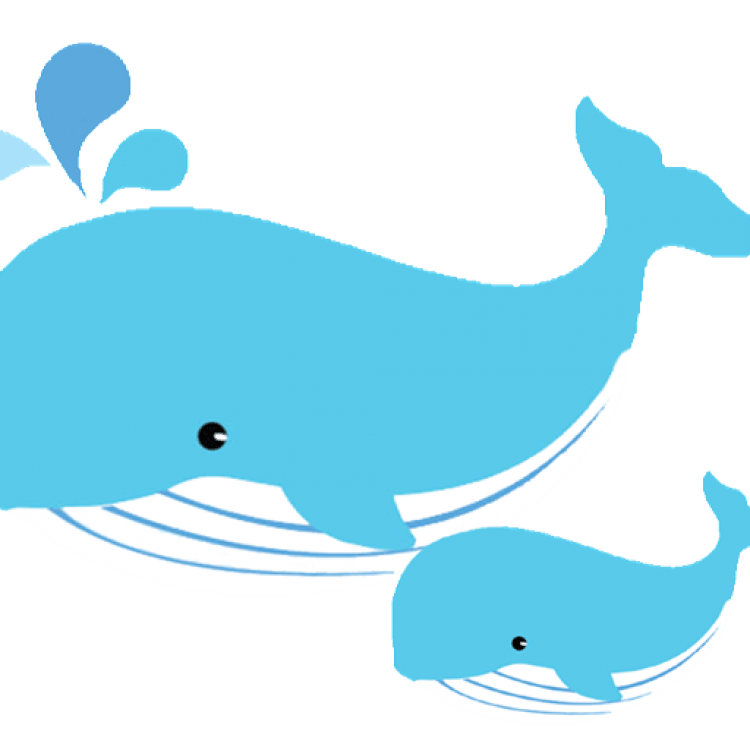 Китенок для детей