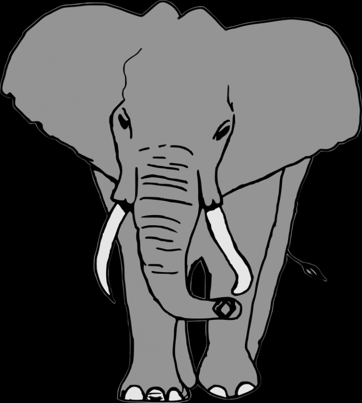 Слон рисунок