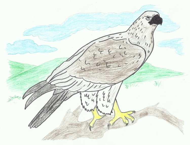 Степь рисунок