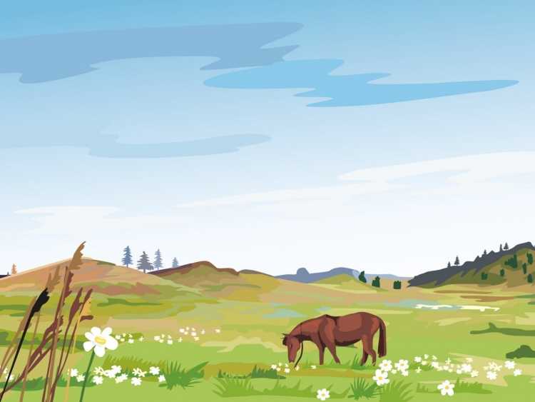 Степь рисунок