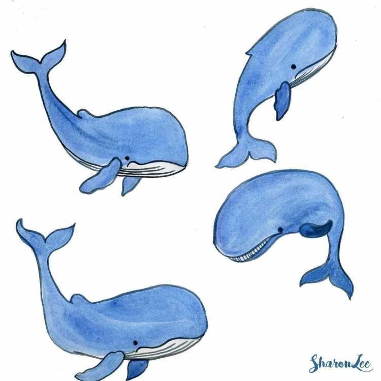 Рисовать китов