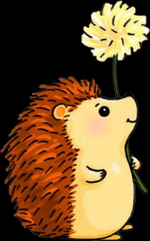 Георгий Скребицкий Пушок рисунок