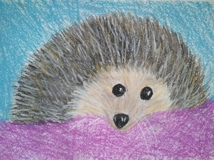 Ежик для вырезания цветной