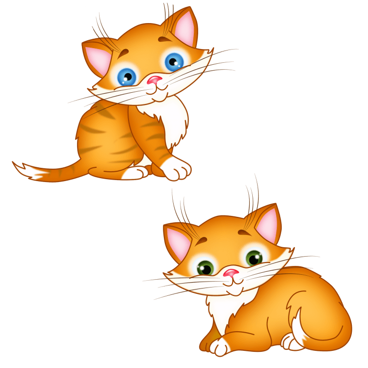 Клипарт котенок на прозрачном фоне для детей