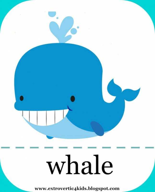 Кит из мультфильма