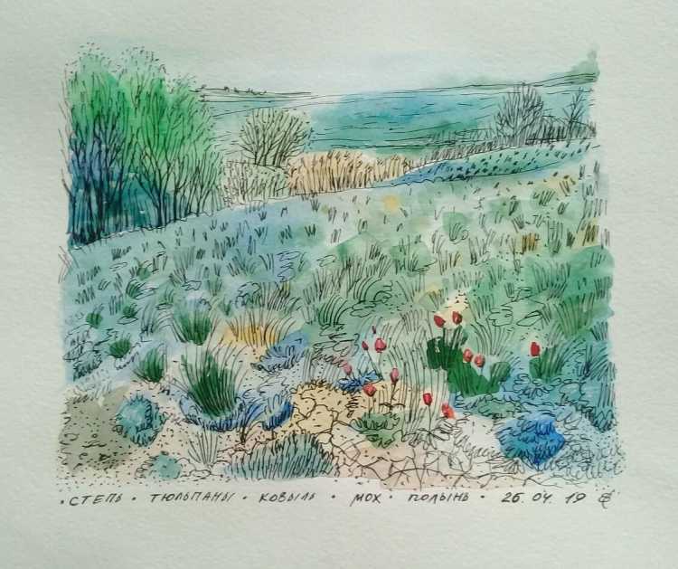 Степь весной акварель