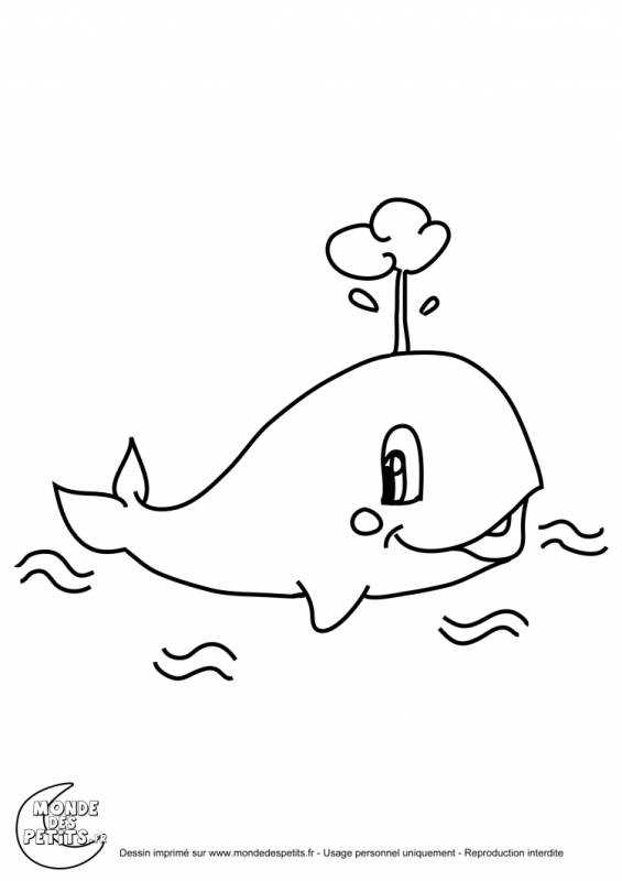 Раскраска. Кит