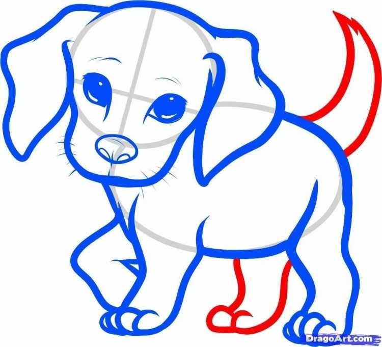 Собачка для рисования