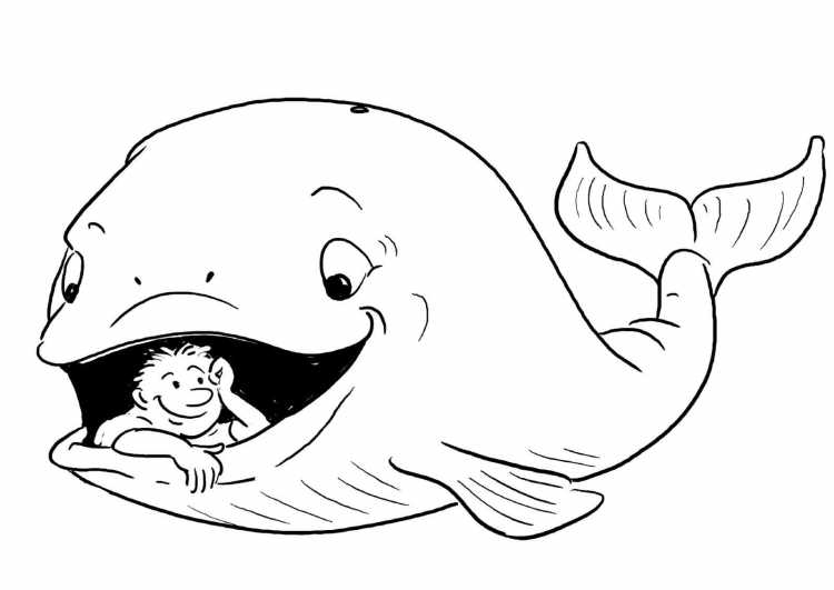 Раскраска. Кит