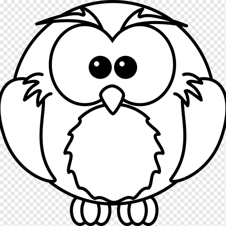 Сова контур