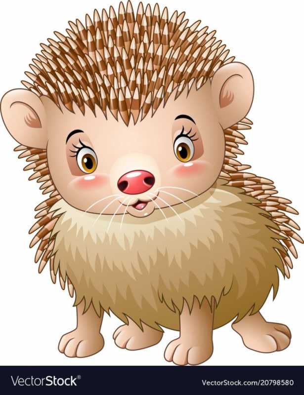 Ёжик для рисования детям