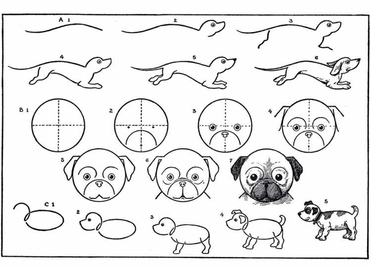 Рисунки для срисовки по схеме