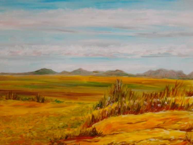 Гречишкин степь Ковыльная