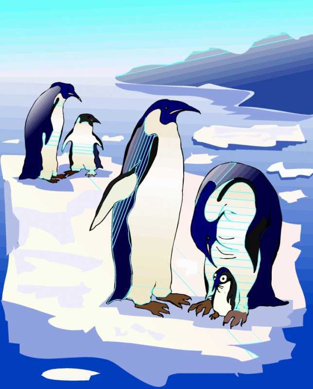Пингвин иллюстрация