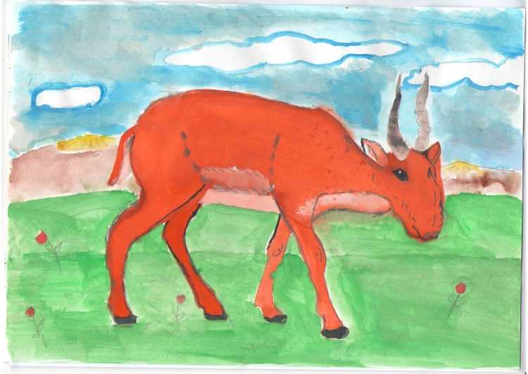 Сайгак рисунок