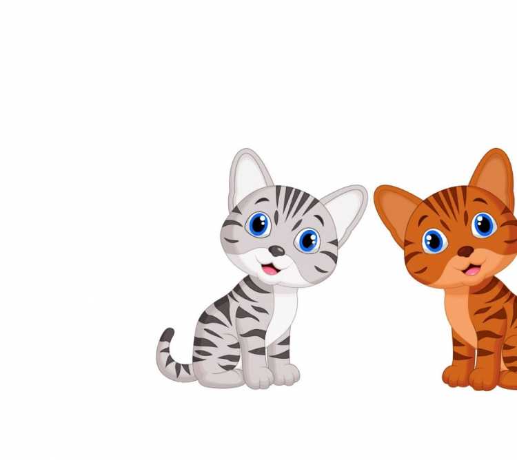 Котенок клипарт на прозрачном фоне