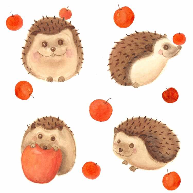 Рисование для малышей Ёжик