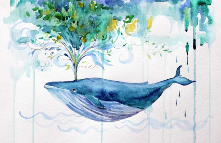 Кит красками