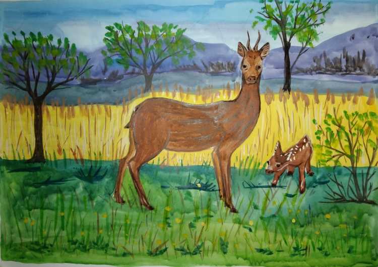 Животные Сибири рисунок