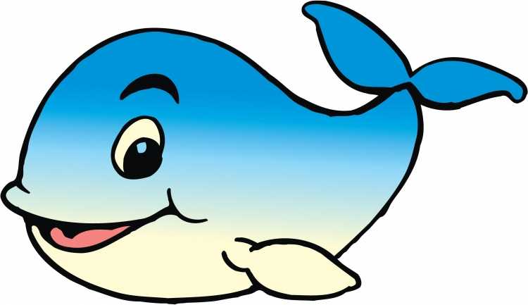 Киты мультяшные